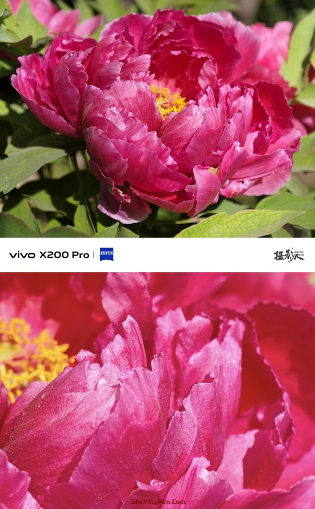 你会使用手机中的高像素模式拍片吗？插图9