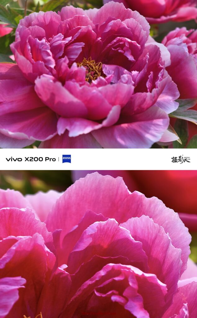 你会使用手机中的高像素模式拍片吗？插图7