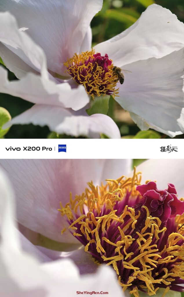你会使用手机中的高像素模式拍片吗？插图6