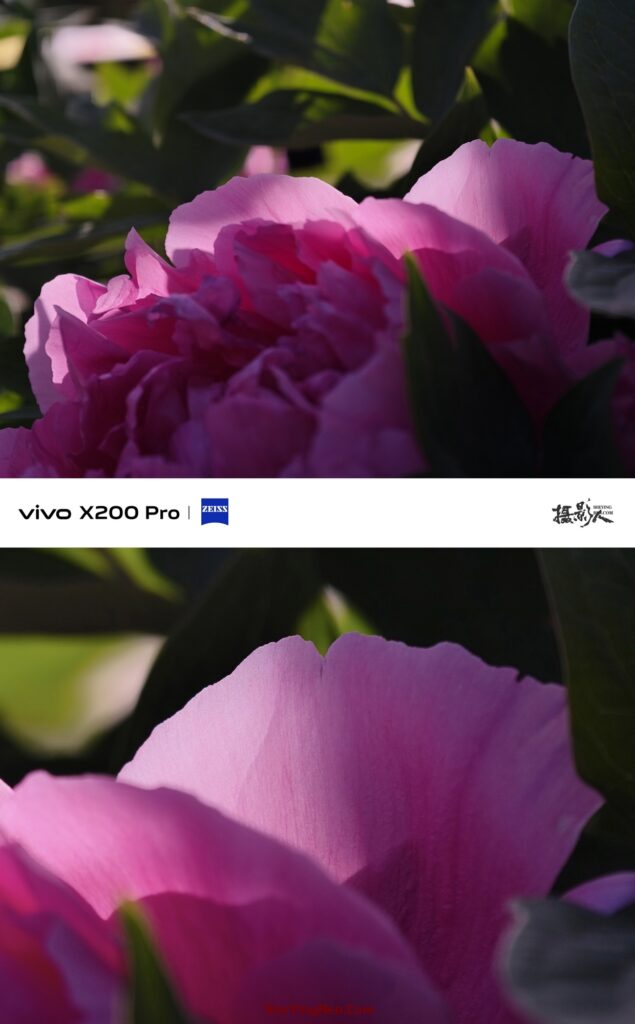 你会使用手机中的高像素模式拍片吗？插图2
