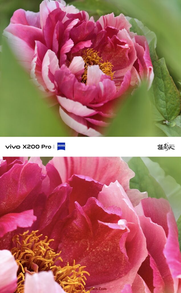 你会使用手机中的高像素模式拍片吗？插图8