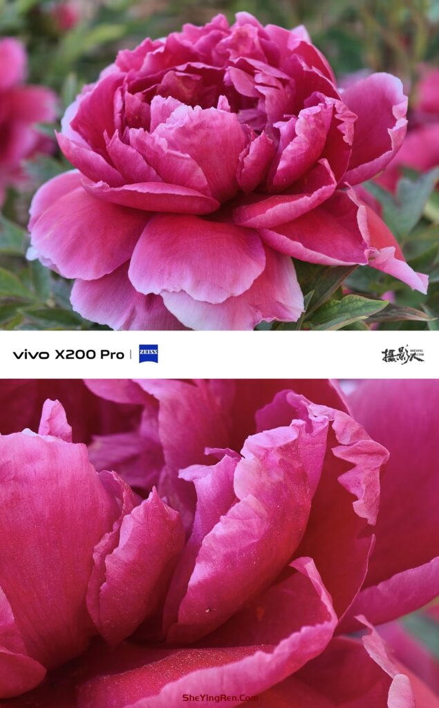 你会使用手机中的高像素模式拍片吗？插图3