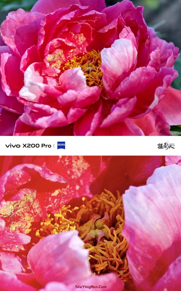 你会使用手机中的高像素模式拍片吗？插图4